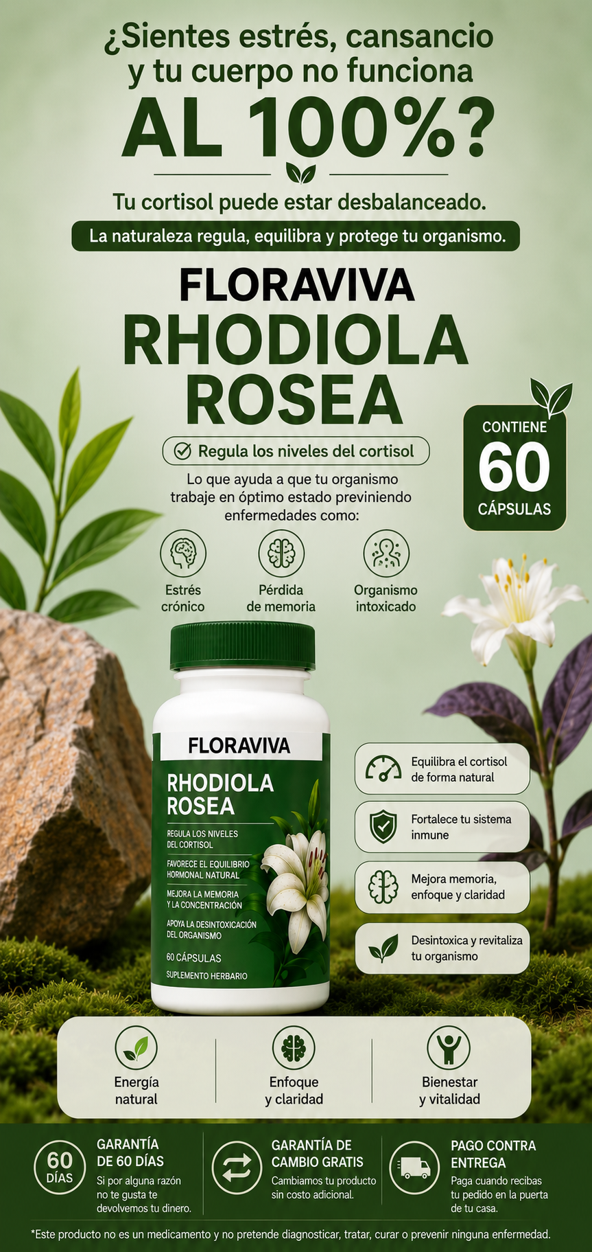 Rhodiola Rosea - Nivela tu Cortisol solo con 1 pastilla diaria